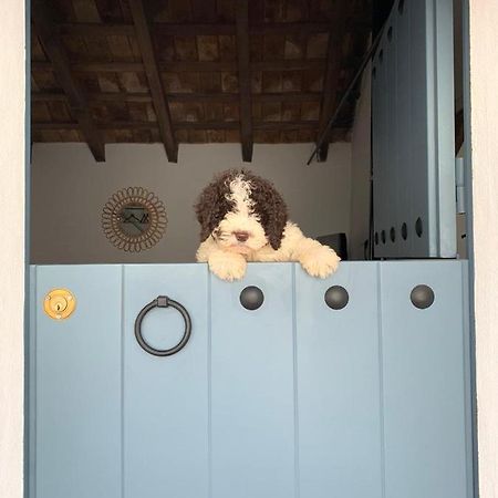 보르노스 La Puerta Azul 빌라 외부 사진