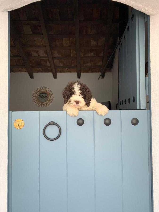 보르노스 La Puerta Azul 빌라 외부 사진