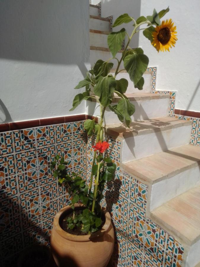 보르노스 La Puerta Azul 빌라 외부 사진